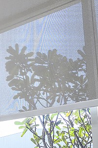 insektenschutz 253659967