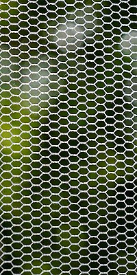 insektenschutz 207605783