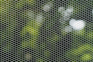 insektenschutz 207605783