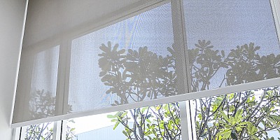 insektenschutz 253659967